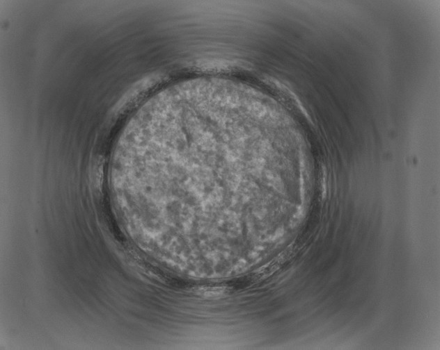 X0000084030495200703161809