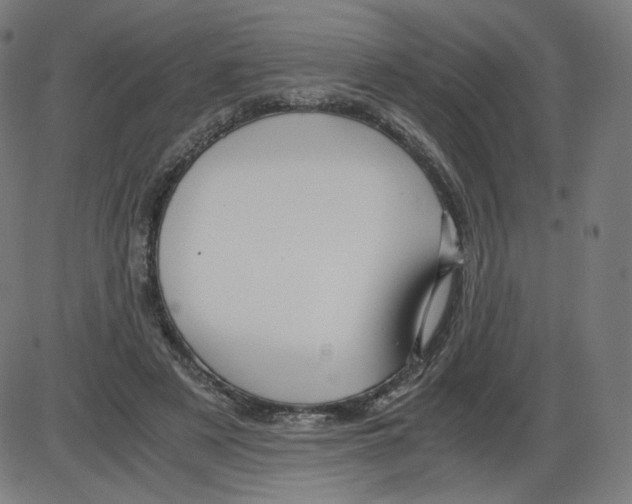 X0000084030497200703161809