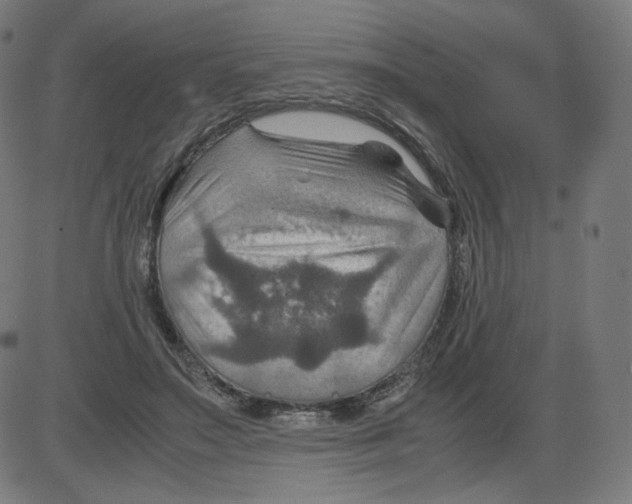 X0000084030499200703161809