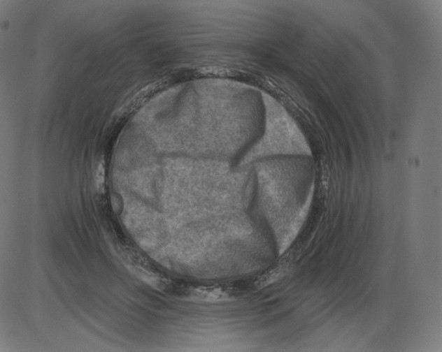 X0000084030502200703161809