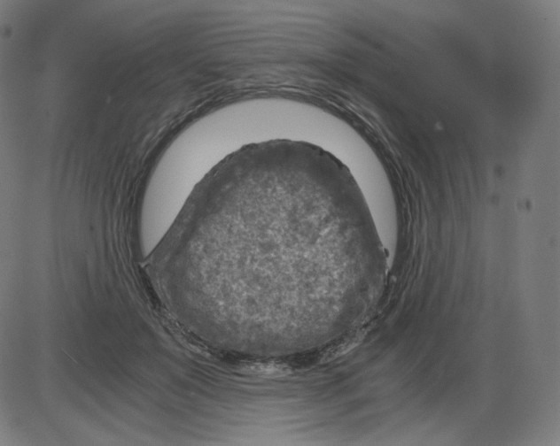 X0000084030503200703161809