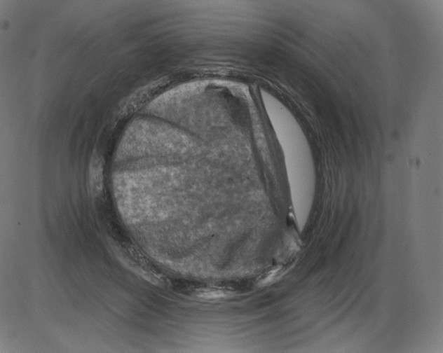 X0000084030504200703161809