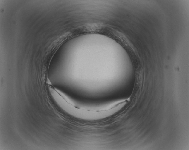 X0000084030505200703161809