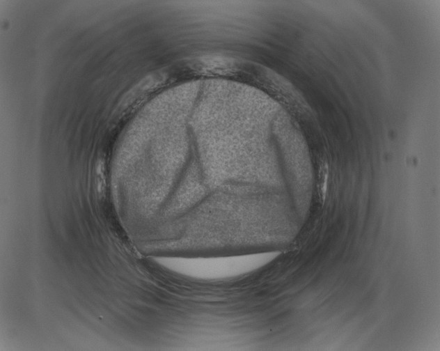 X0000084030506200703161809