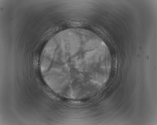 X0000084030507200703161809