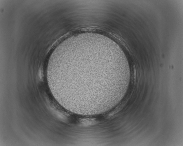 X0000084030508200703161809