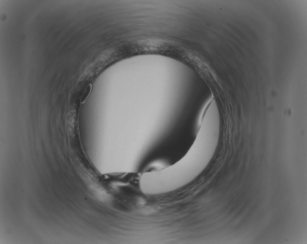 X0000084030509200703161809