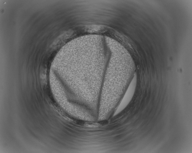 X0000084030510200703161809