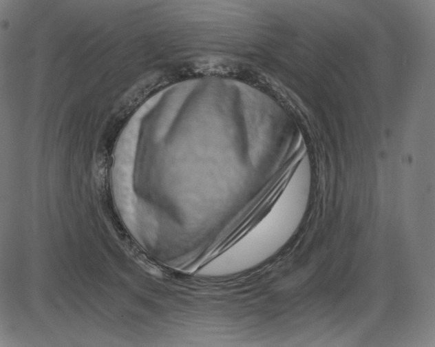 X0000084030513200703161809