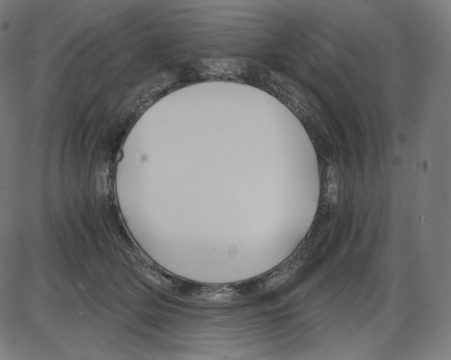 X0000084030514200703161809