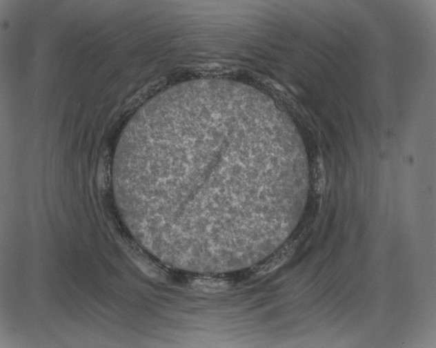 X0000084030515200703161809