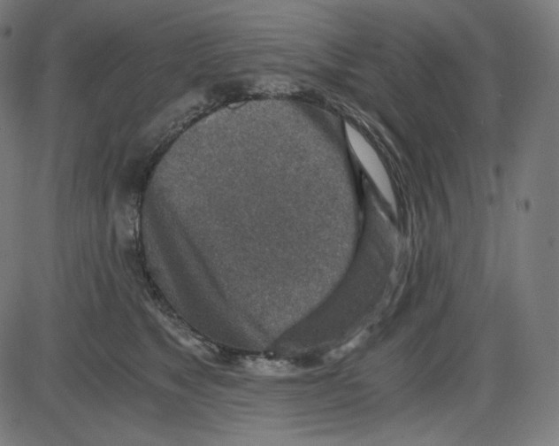 X0000084030517200703161809