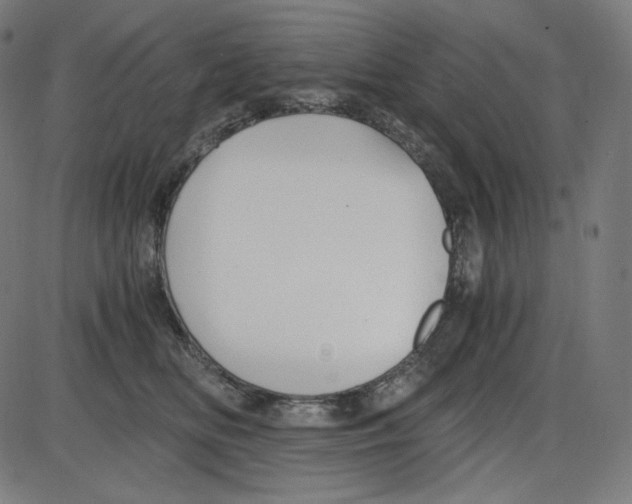 X0000084030518200703161809