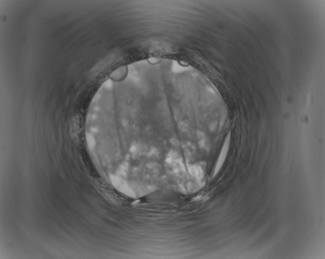 X0000084030519200703161809