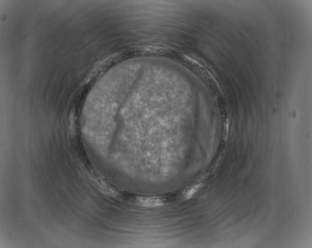 X0000084030520200703161809