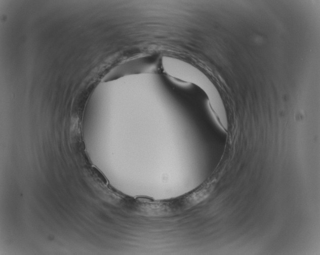 X0000084030521200703161809