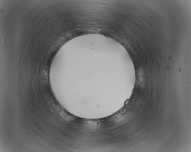 X0000084030522200703161809