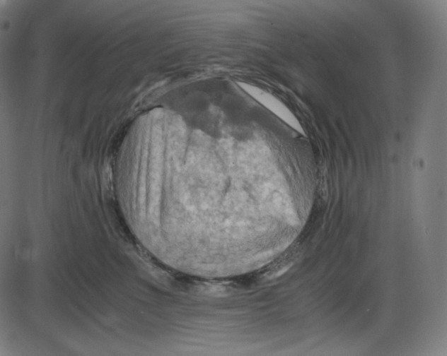 X0000084030523200703161809