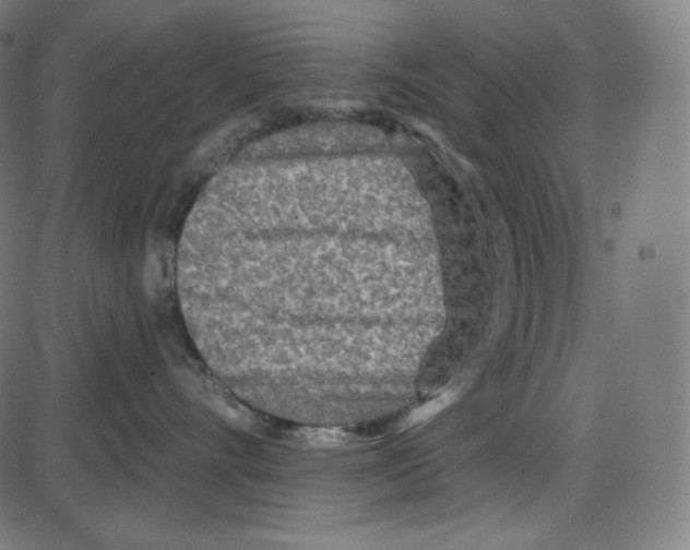 X0000084030528200703161809