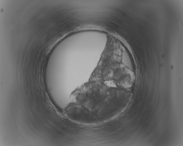 X0000084030529200703161808