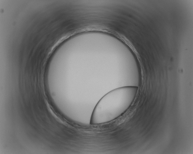 X0000084030530200703161808