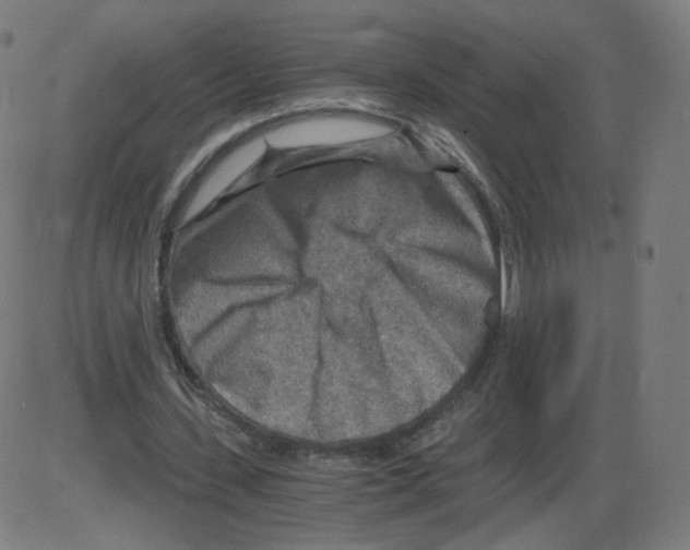 X0000084030531200703161808