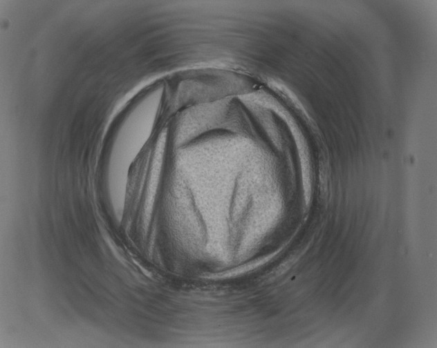 X0000084030532200703161808