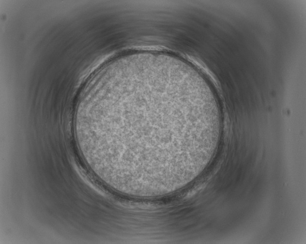 X0000084030533200703161808