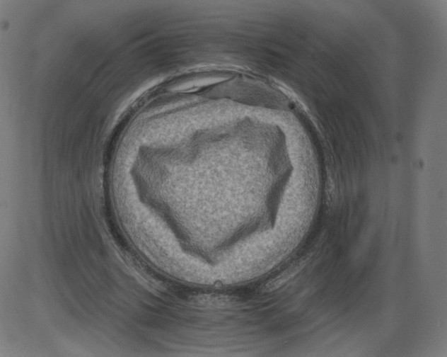 X0000084030535200703161808