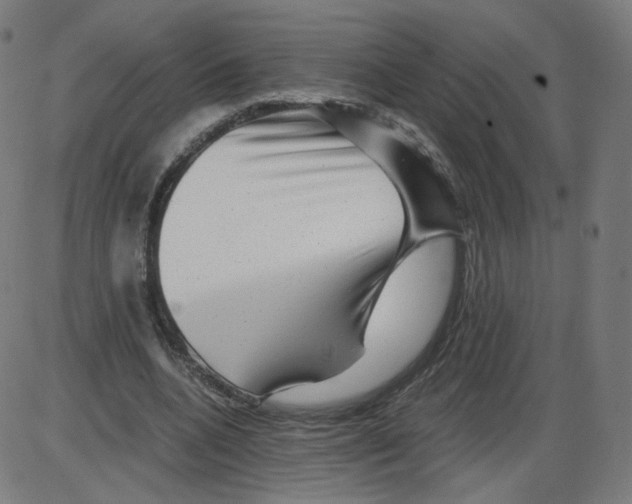 X0000084030536200703161808