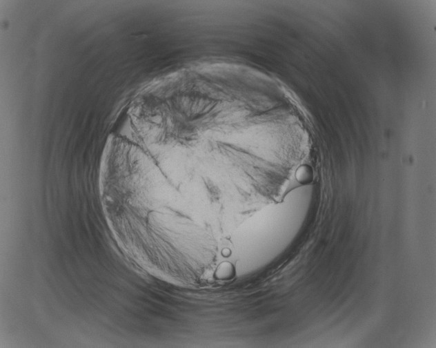 X0000084030537200703161808