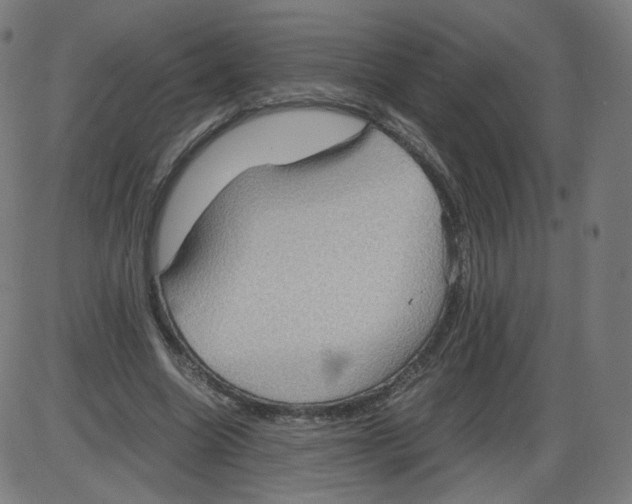 X0000084030538200703161808