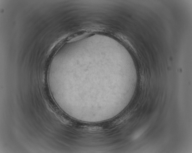 X0000084030539200703161808