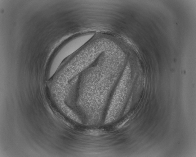 X0000084030540200703161808