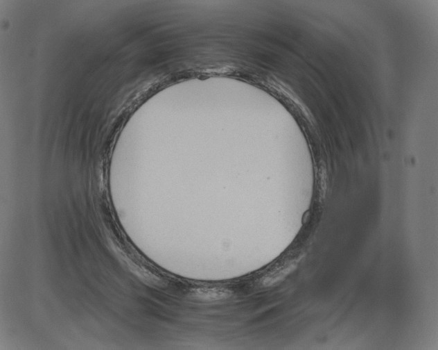 X0000084030541200703161808