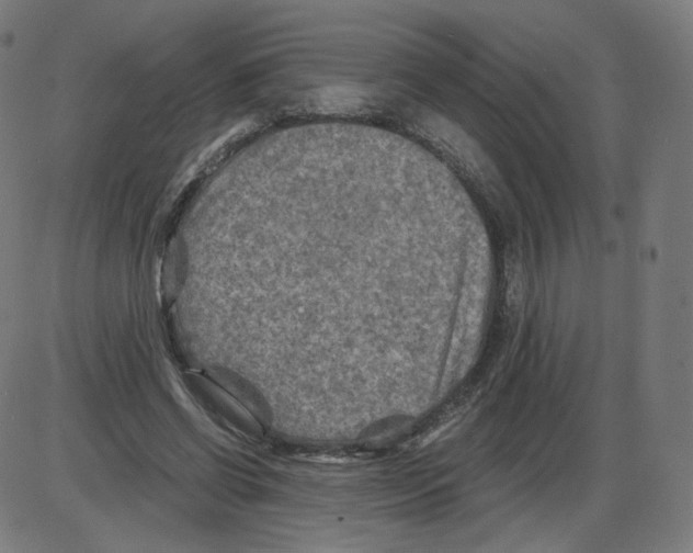 X0000084030542200703161808