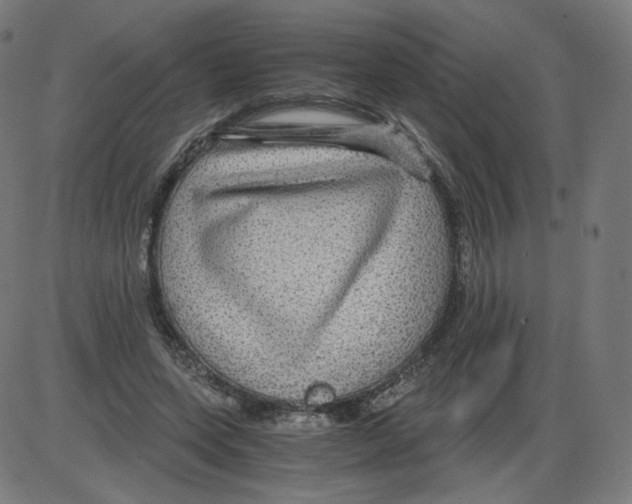 X0000084030543200703161808