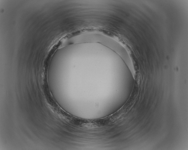 X0000084030544200703161808