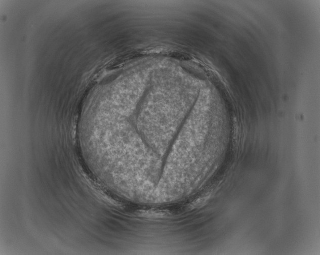 X0000084030545200703161808