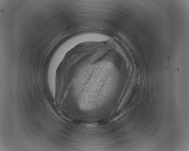 X0000084030548200703161808