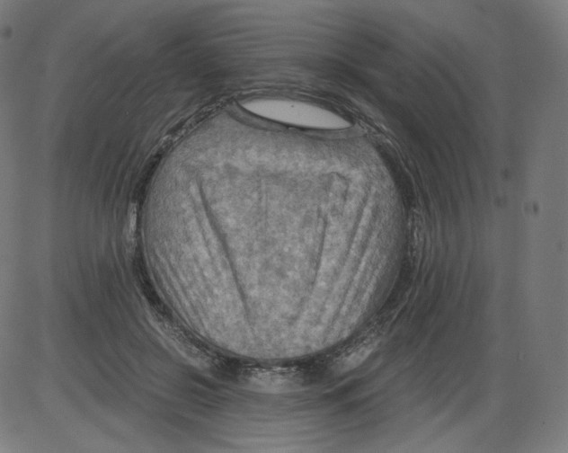 X0000084030550200703161808