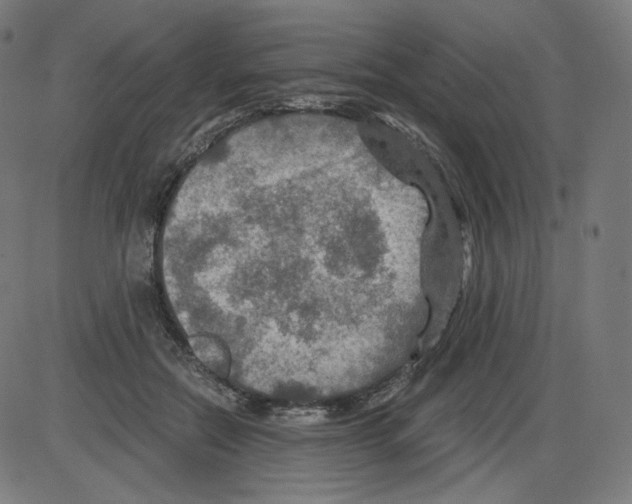 X0000084030554200703161808