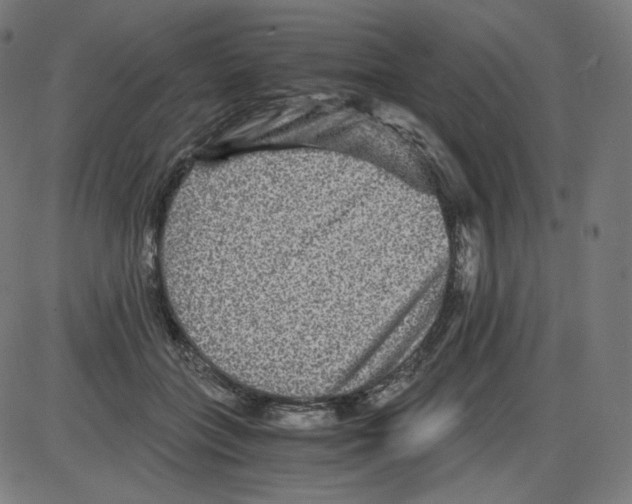 X0000084030555200703161808