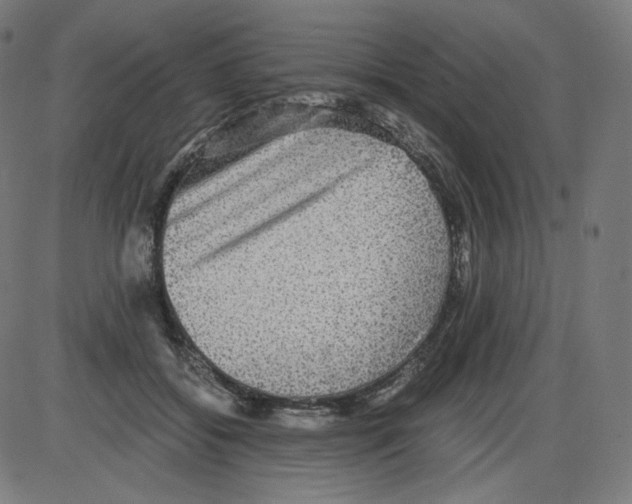 X0000084030556200703161808