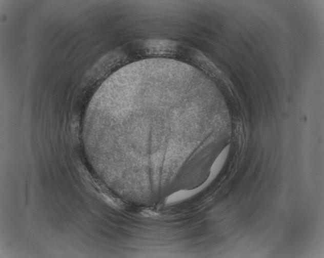 X0000084030557200703161808