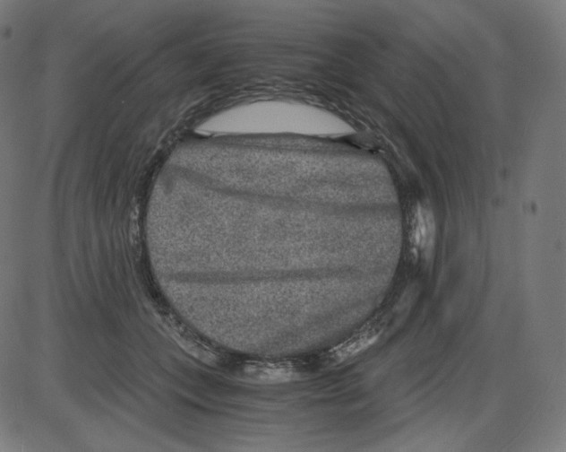 X0000084030559200703161808