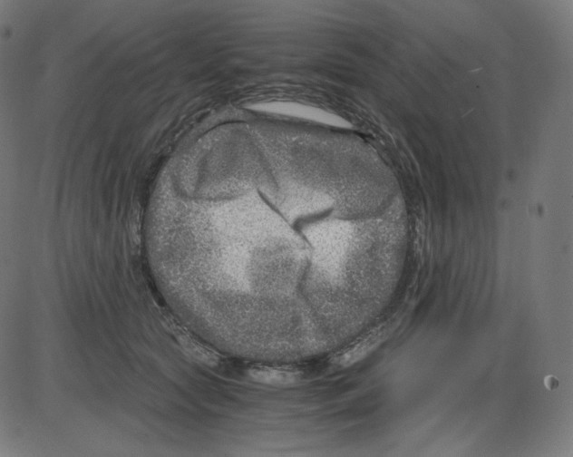 X0000084030561200703161808