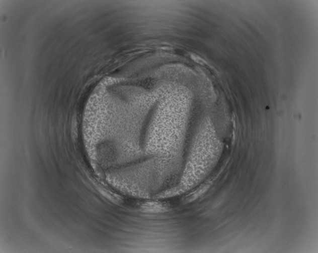 X0000084030562200703161808