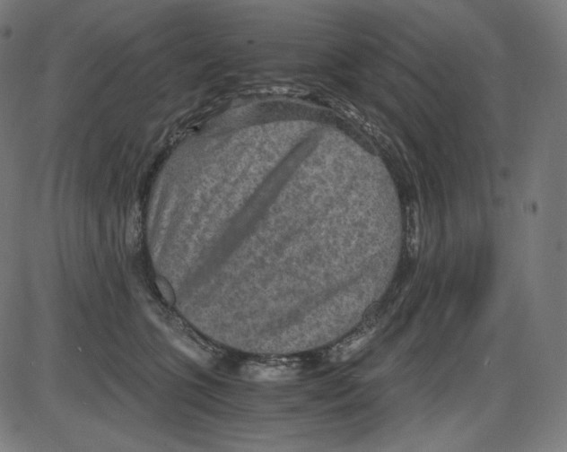 X0000084030563200703161808