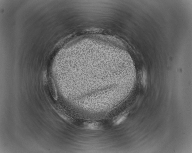 X0000084030564200703161809